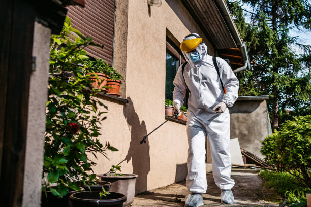 Best Wasp Removal Services  in Center, TX