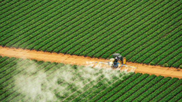 Best Mosquito Control Services  in Center, TX