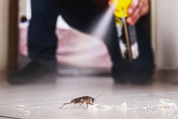 Best Wasp Removal Services  in Center, TX