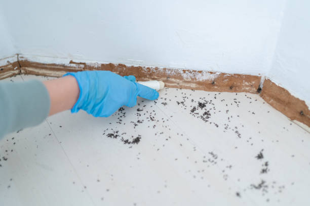 Best Best Pest Control Companies  in Center, TX